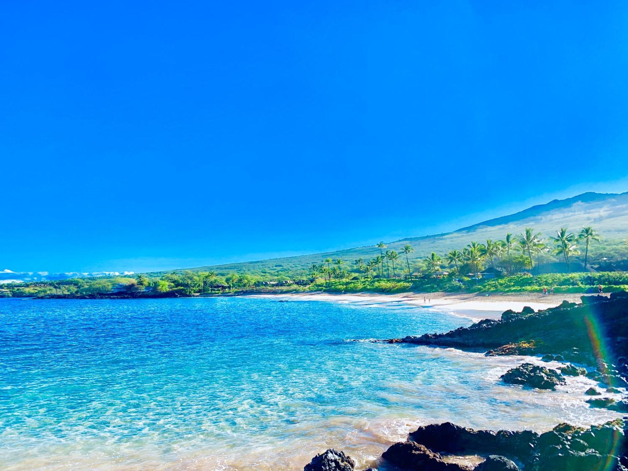 Campervan/Maui Hosted By Go Camp Maui 키헤이 외부 사진